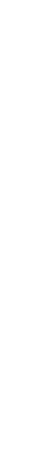 layer-11.png